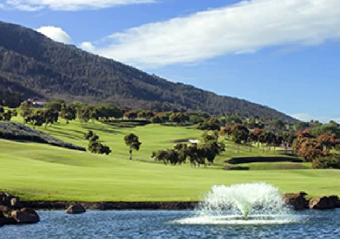 The King Kamehameha Golf Club